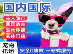 大同机场邮寄国际宠物托运 【国